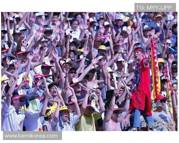 欧洲杯比赛即将开战，球迷热情高涨——球迷们的夏季狂欢